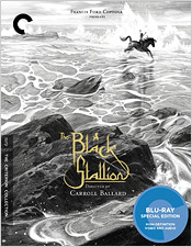 The Black Stallion (Criterion Blu-ray Disc)