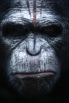 Dawn of the Planet of the Apes & Rise of the Planet of the Apes in 4K