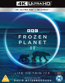 Frozen Planet II (UK 4K Ultra HD)