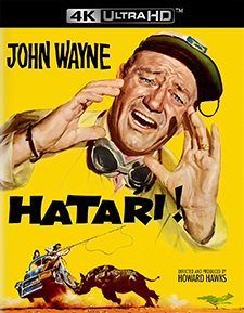 Hatari! (4K Ultra HD)