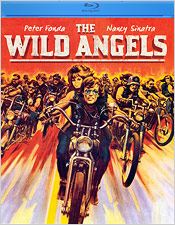 Wild Angels (Blu-ray Disc)