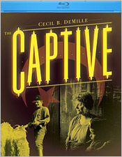 Captive (Blu-ray Disc)